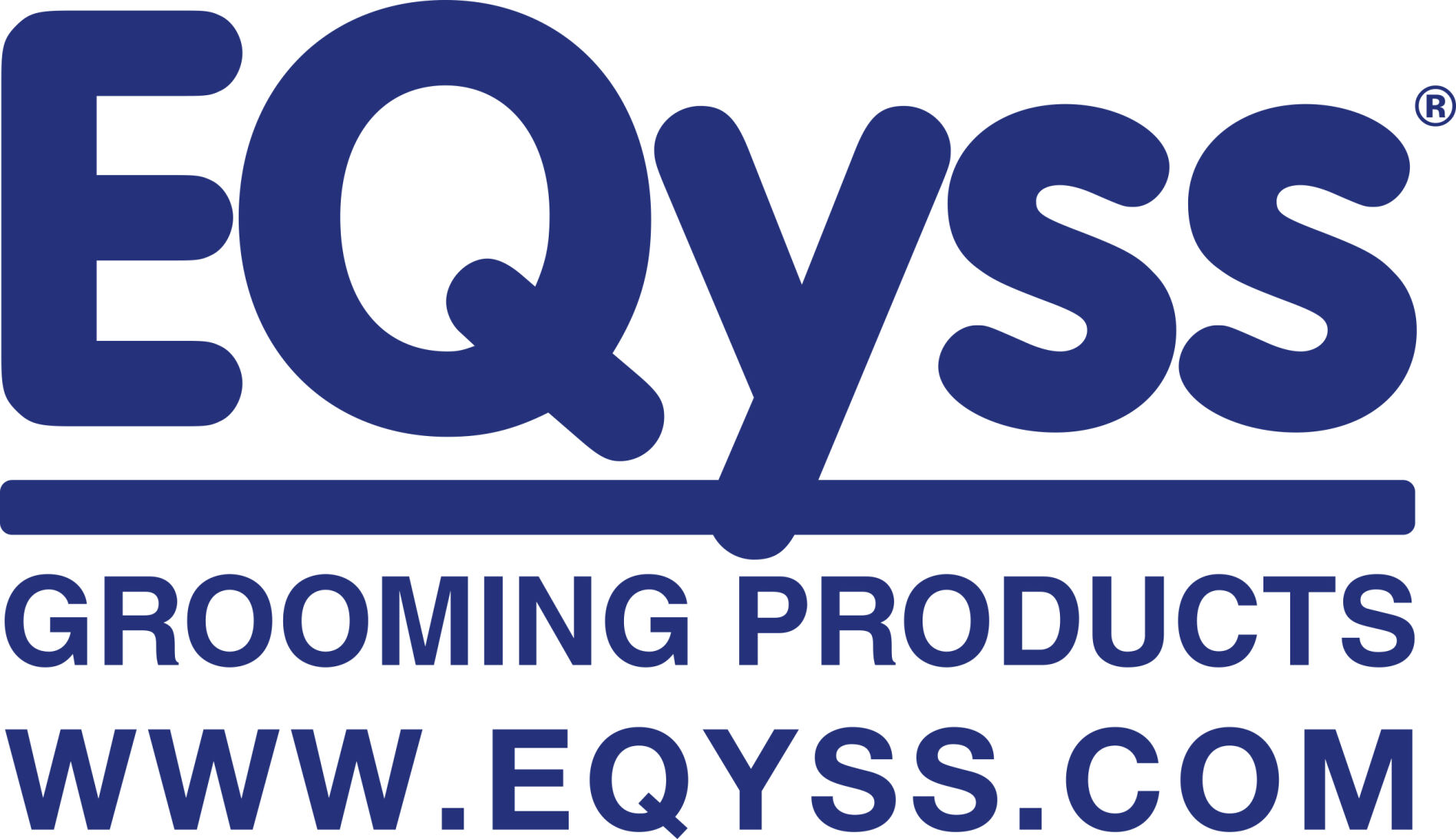 EQyss Logo Blue_With_URL_Caps